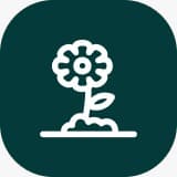 Irrigation Systems image