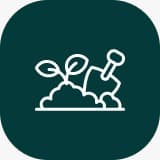 Seasonal Maintenance image