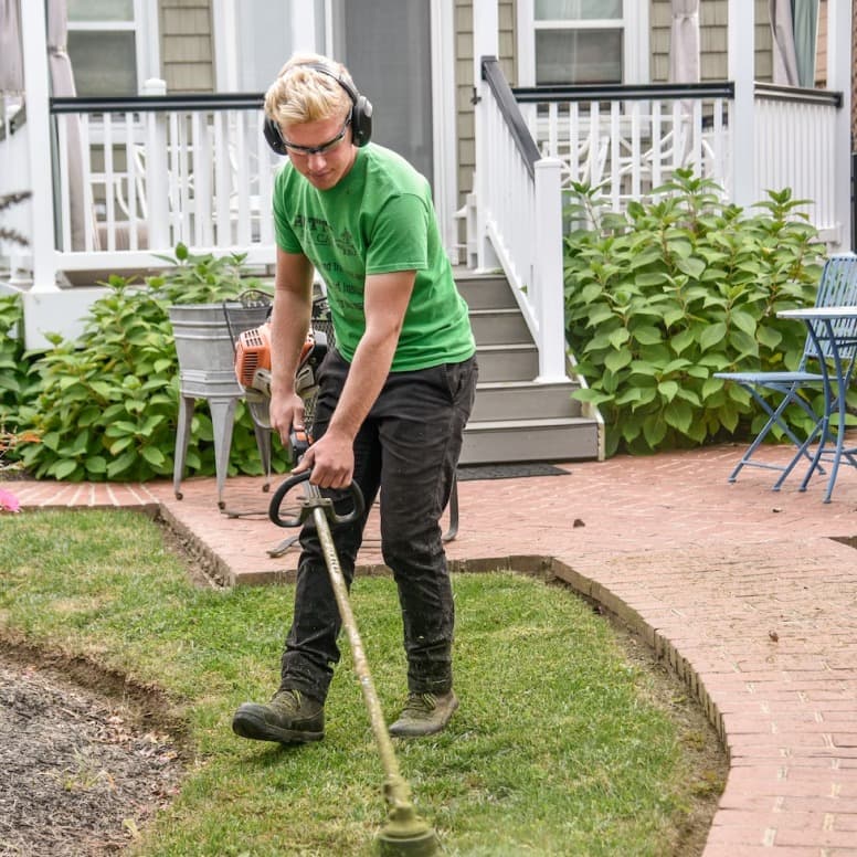 תמונה של טיפול בדשא