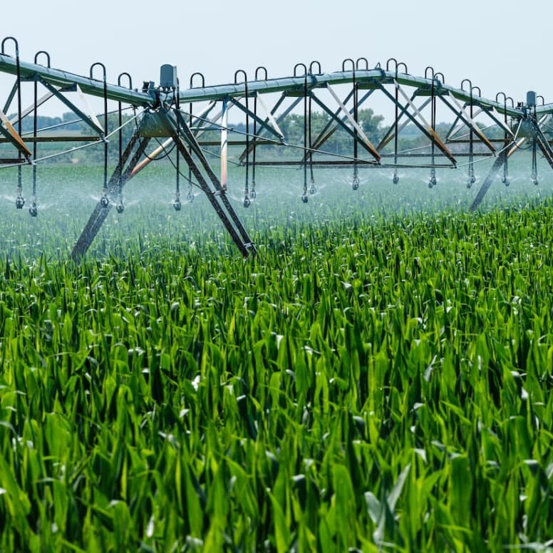 תמונה של מערכות השקיה